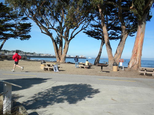 Bnke am Strand von Monterey